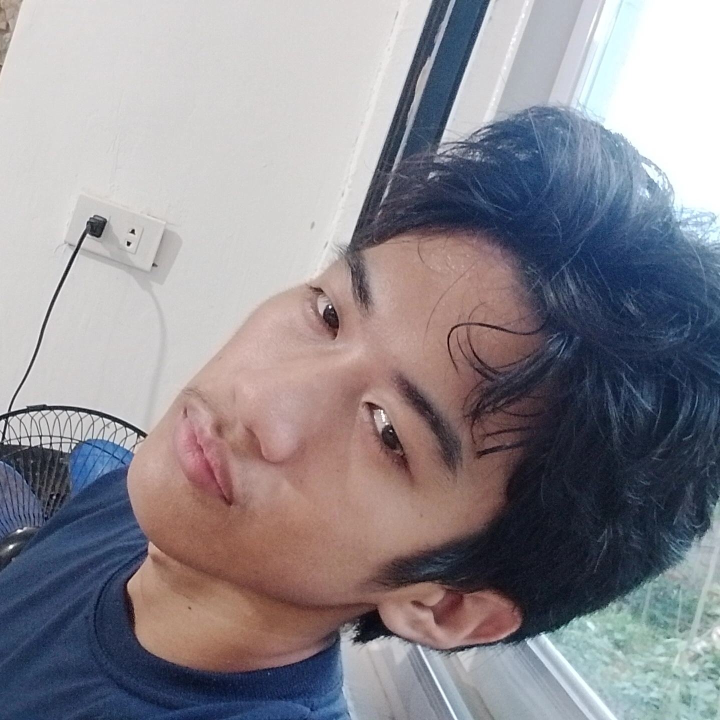 Prince 