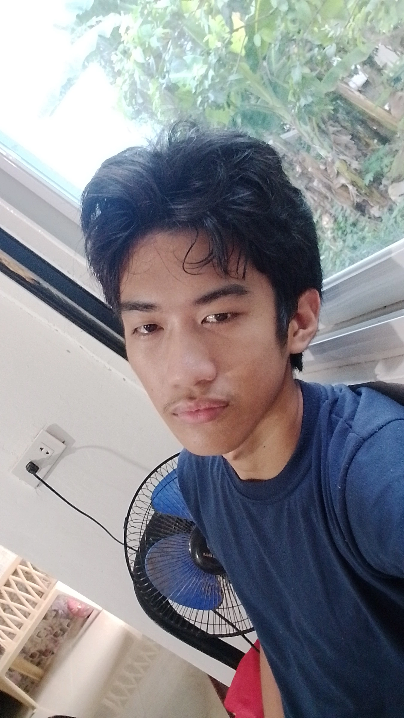 Prince 