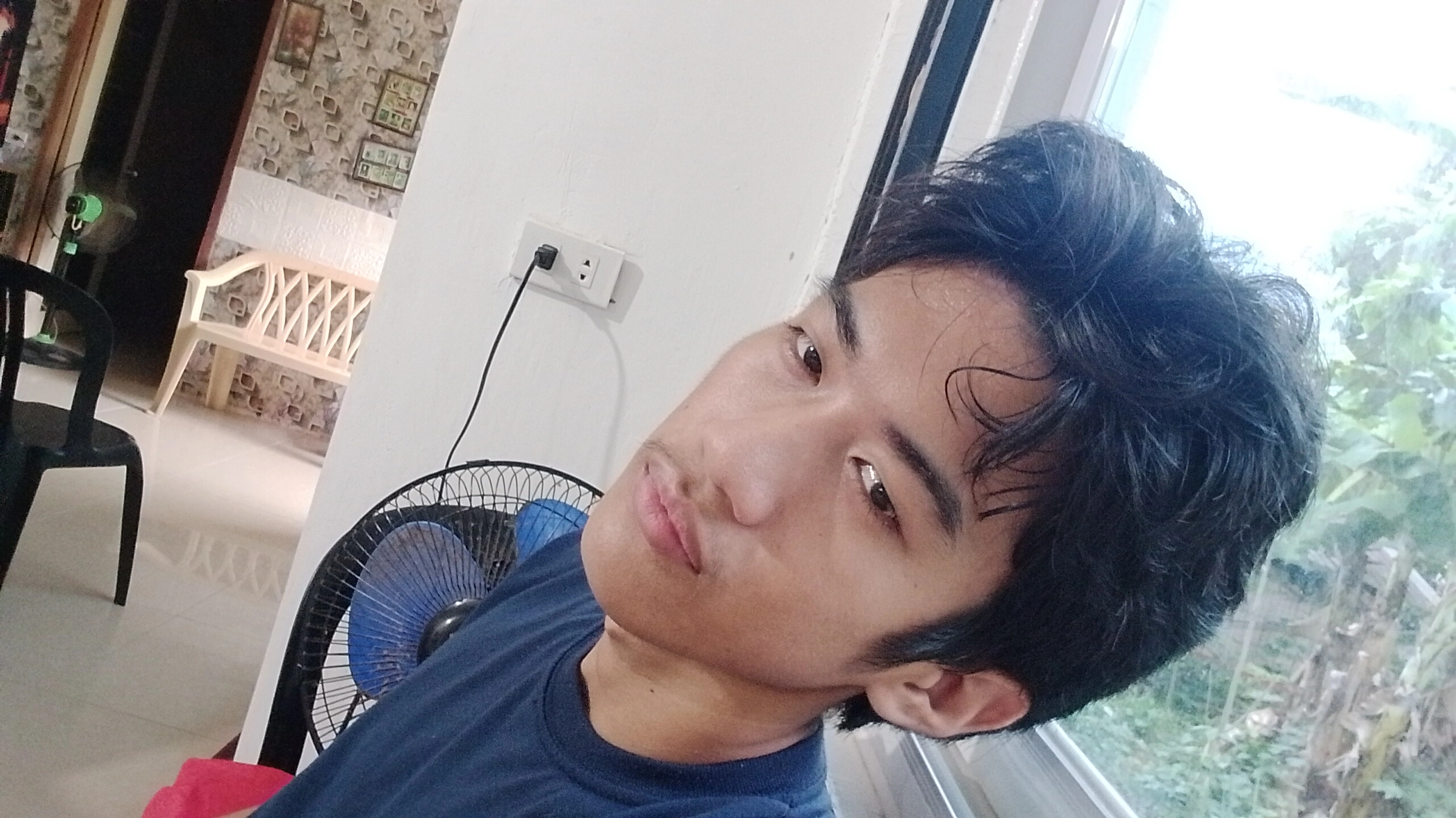 Prince 